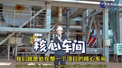 Sludge Incineration Plant Treatment and Disposal / Sludge Combustion 380V/220V