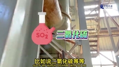 60%-80% Moisture Twin Screw Sewage Sludge Incineration with Advanced Automated System